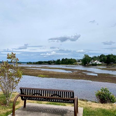 Riverview Suites Clarenville Dış mekan fotoğraf