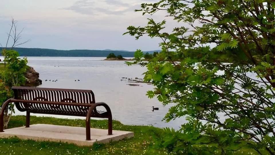Riverview Suites Clarenville Dış mekan fotoğraf