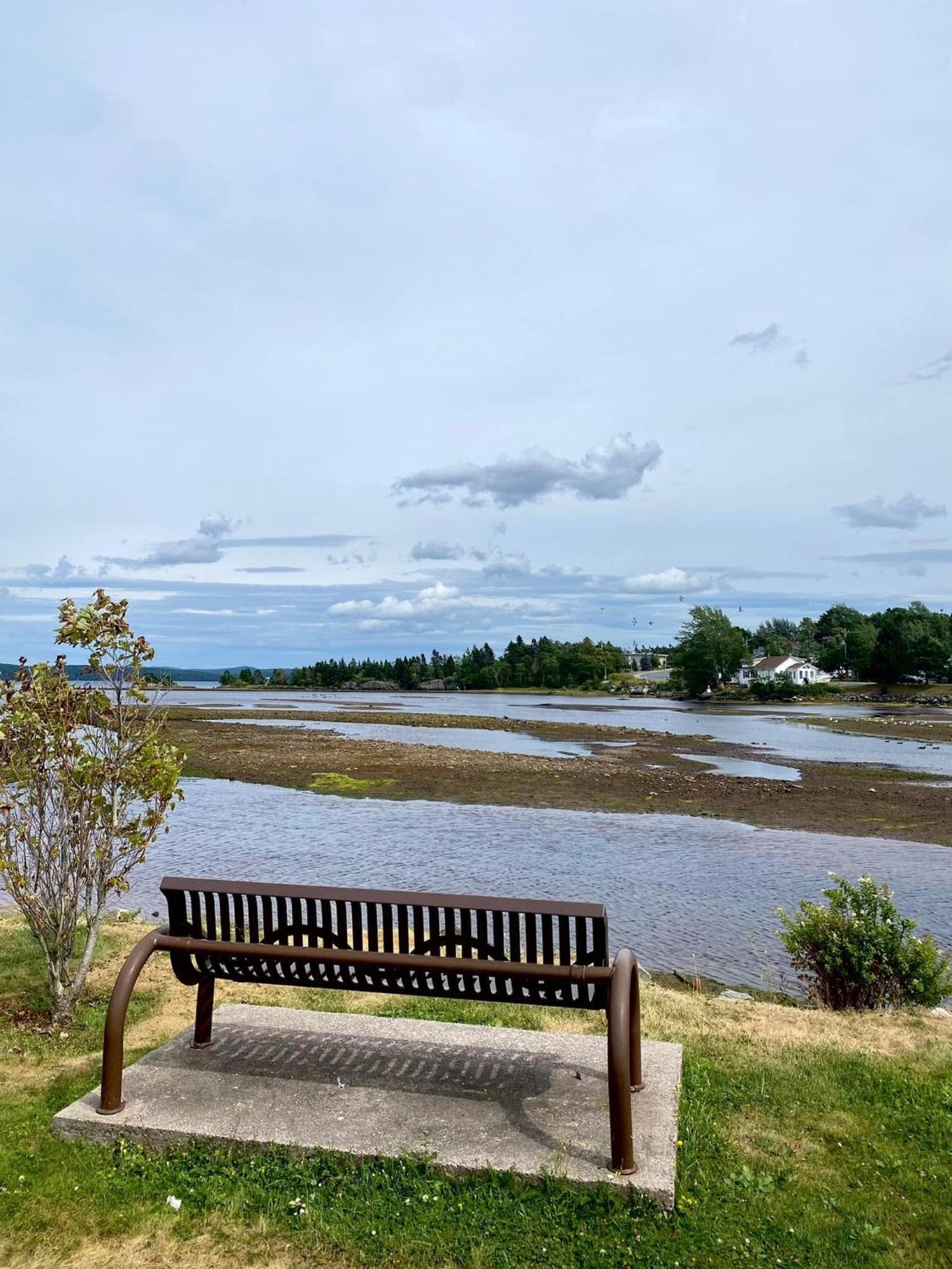 Riverview Suites Clarenville Dış mekan fotoğraf